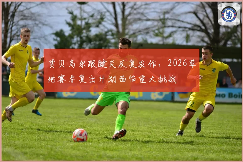 贾贝乌尔跟腱炎反复发作，2026草地赛季复出计划面临重大挑战