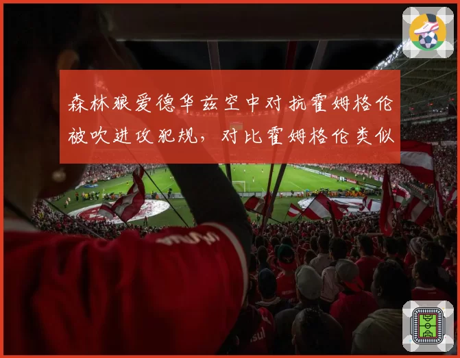 森林狼爱德华兹空中对抗霍姆格伦被吹进攻犯规，对比霍姆格伦类似动作被吹防守犯规