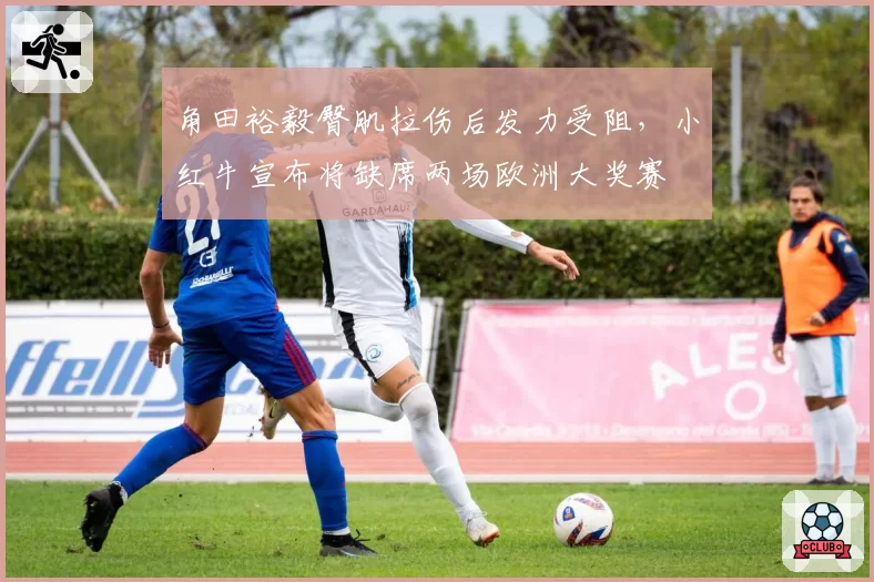 角田裕毅臀肌拉伤后发力受阻,小红牛宣布将缺席两场欧洲大奖赛
