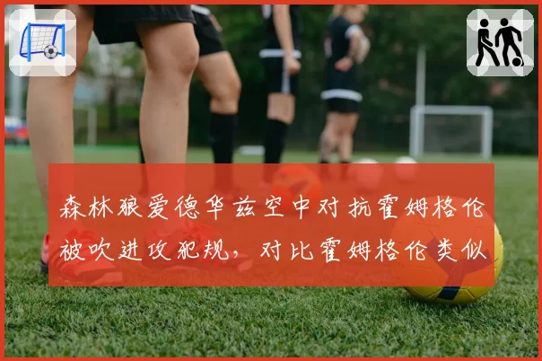 森林狼爱德华兹空中对抗霍姆格伦被吹进攻犯规，对比霍姆格伦类似动作被吹防守犯规