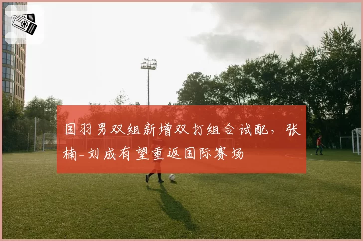 国羽男双组新增双打组合试配，张楠_刘成有望重返国际赛场