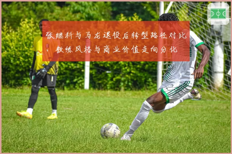 张继科与马龙退役后转型路径对比，教练风格与商业价值走向分化