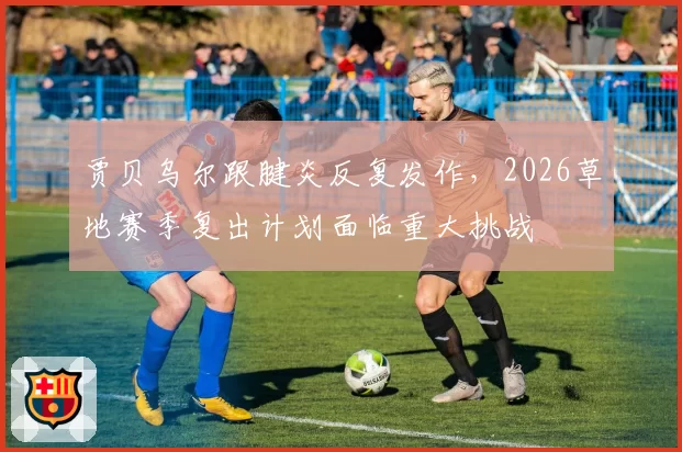 贾贝乌尔跟腱炎反复发作，2026草地赛季复出计划面临重大挑战