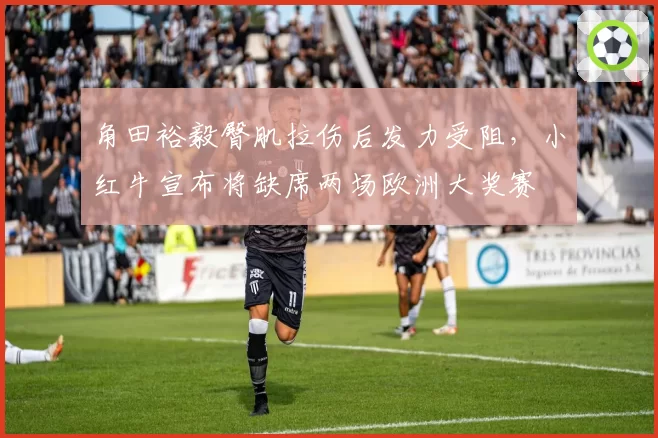 角田裕毅臀肌拉伤后发力受阻,小红牛宣布将缺席两场欧洲大奖赛