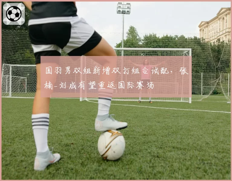 国羽男双组新增双打组合试配，张楠_刘成有望重返国际赛场
